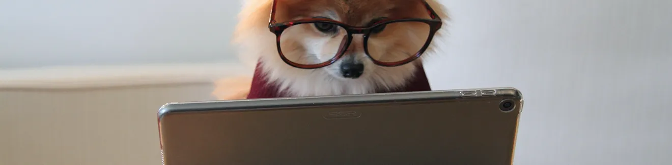 типові помилки в англійській мові